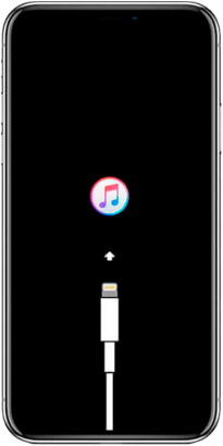 Прошивка iPhone 11 Pro Max